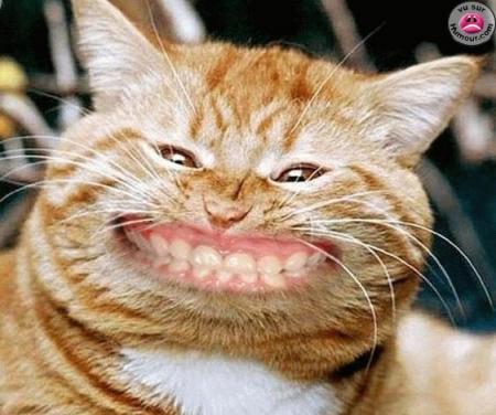 cheeeeeeeeeeeeeeeeeeeeeeeze